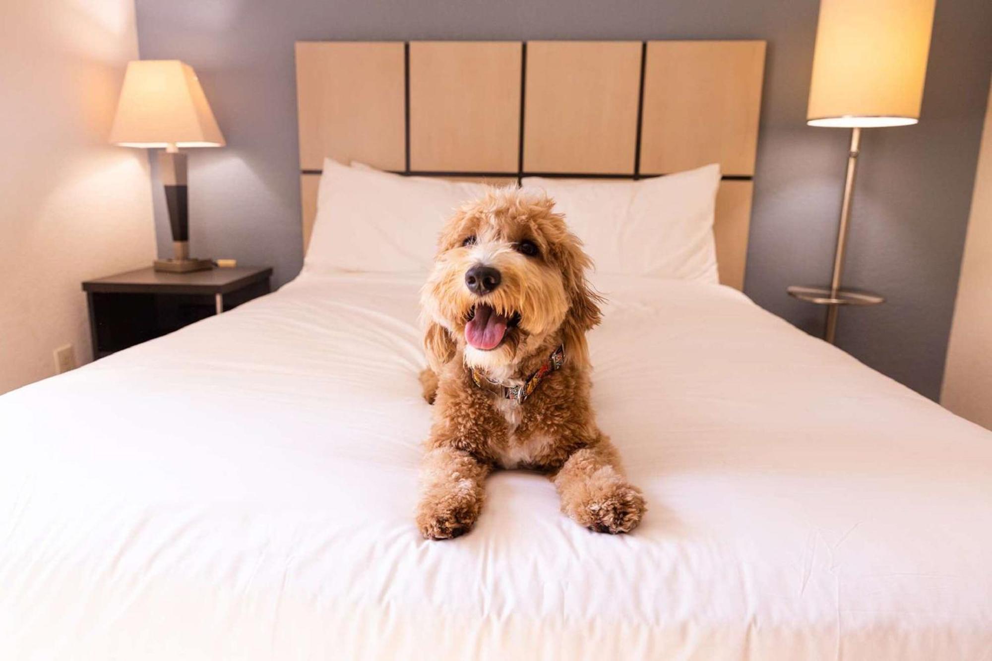Sonesta Simply Suites Denver West Federal Center Лейкуд Екстериор снимка